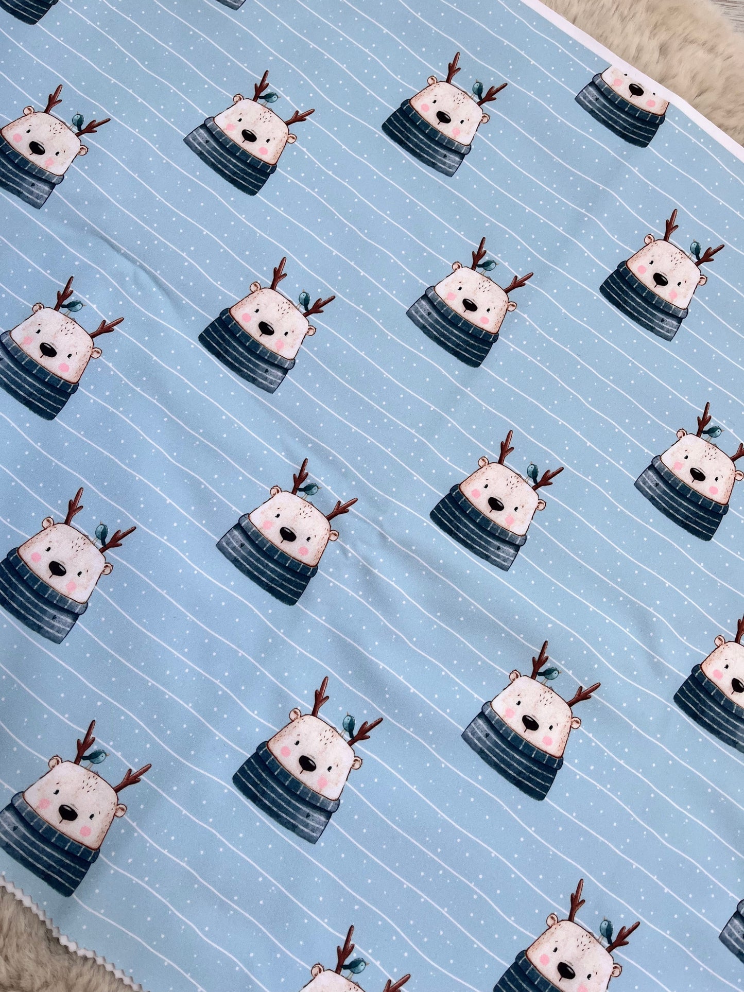 Reststück Bären Softshell ca. 50cm