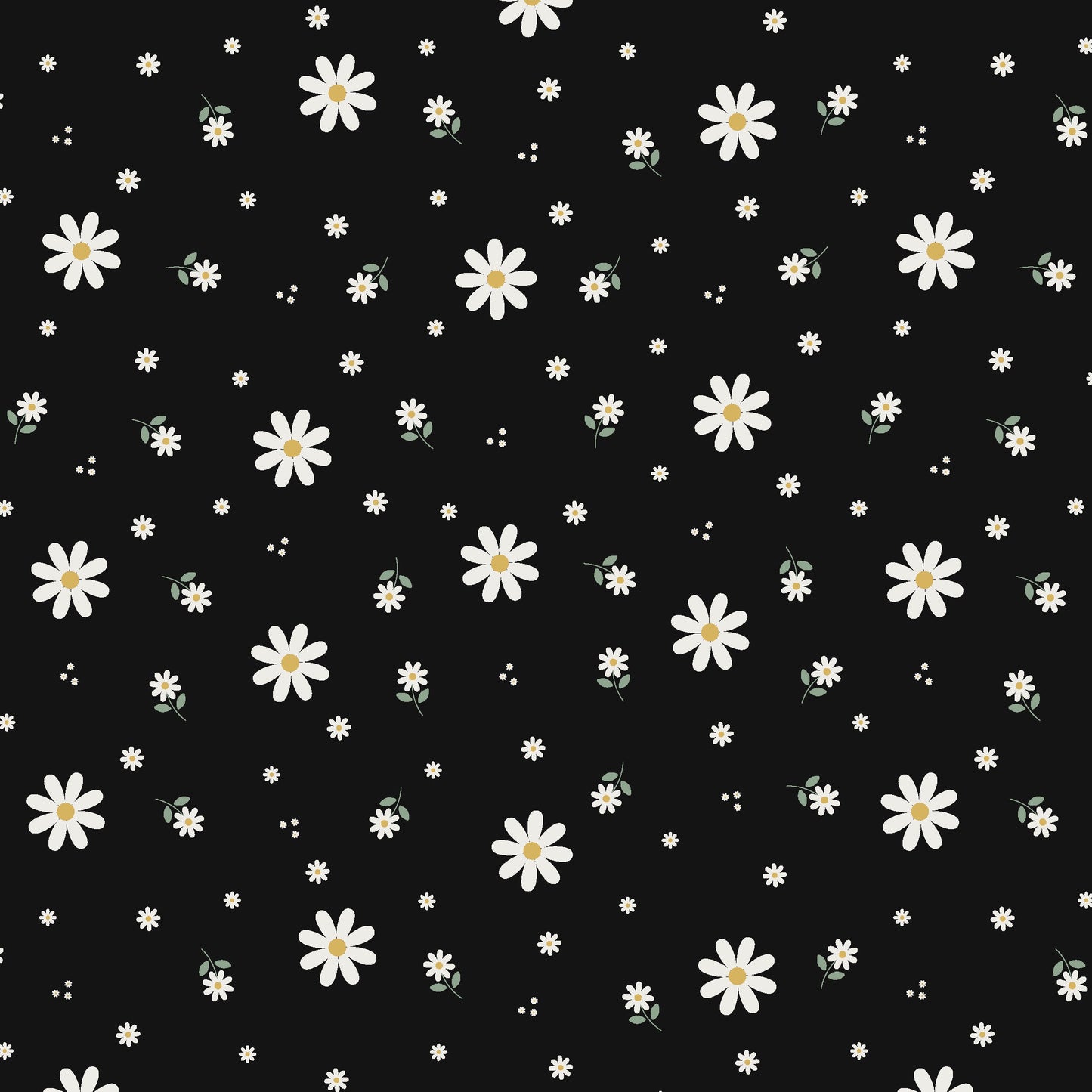 [128] VORBESTELLUNG Eigenproduktion Gänseblümchen schwarz